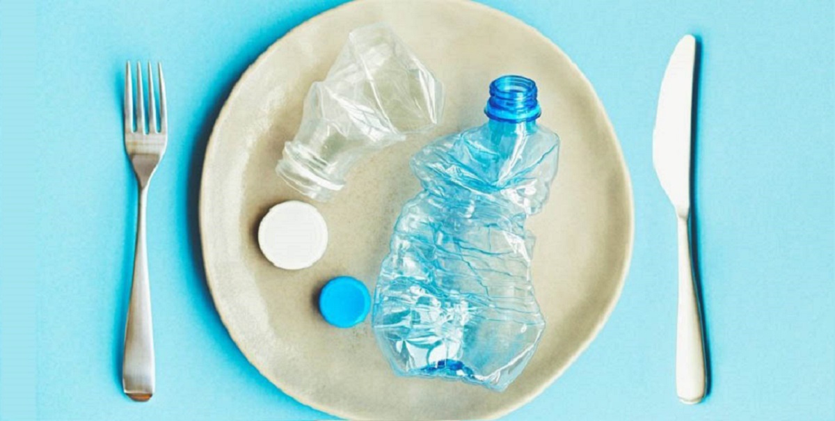 alimentazione inquinanti nel piatto