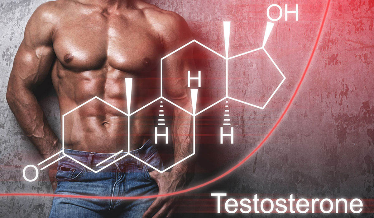 supplemental testosterone